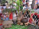 IMG_0968 - IMG_0968.jpg