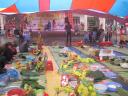 Picture 283 - Picture 283.jpg